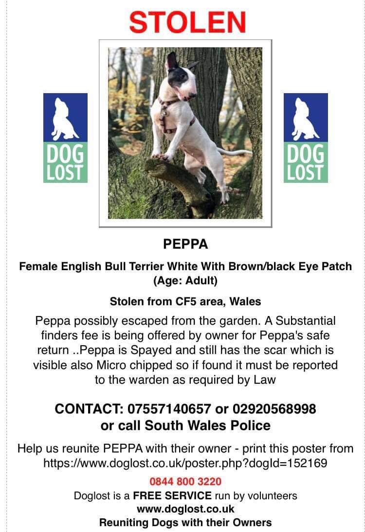 THANK YOU @LizWebsterLD <a href="/EdSawyer97/">Ed Sawyer</a> &amp; team for organising <a href="/DogZoomUK/">DogZoom</a>. <a href="/EmmaKennedy/">Emma Kennedy</a> for hosting the event. <a href="/SAMPAuk_/">Stolen&Missing Pets</a> <a href="/DogLostUK/">DogLost</a> <a href="/hi_sight/">Hidden-in-Sight 🕵🏼‍♂️</a> @SidneySnippets <a href="/Melina_Geo/">Melina</a> <a href="/freyawoodhall/">Freya Woodhall</a> <a href="/getskyhome/">@getskyhome</a> <a href="/DannyVet/">Danny Chambers MP 🔸🩺</a> <a href="/beverleycuddy/">Beverley Cuddy (Smith)</a> for live contributions. Watch here fb.watch/4ecqjPi6bn/ RT x