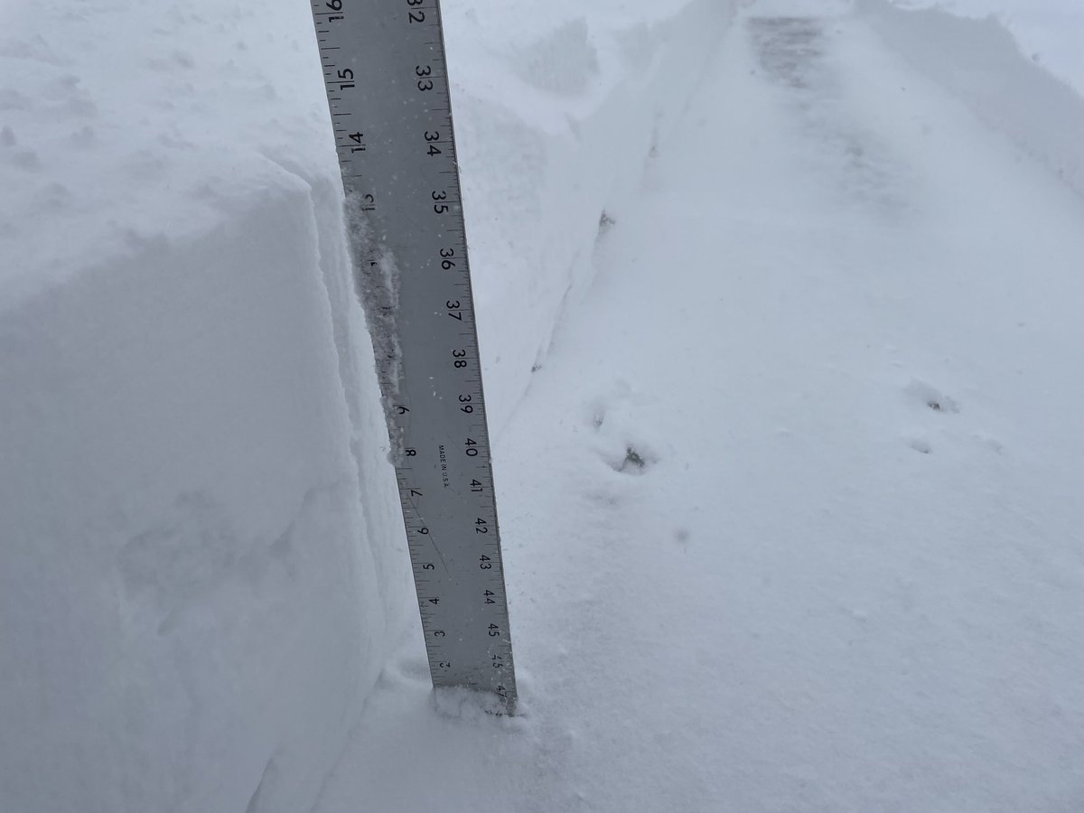 roryals's tweet photo. Thankful for a snowblower to cut through 14” of heavy #snow today.  This is second time I cleared drive today. #cowx ⁦@DenverChannel⁩ https://t.co/YhRnn7CvOS