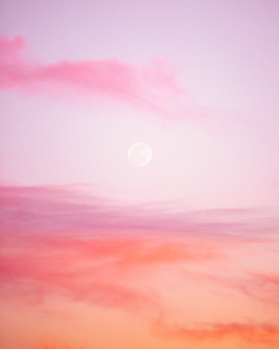 emilyshoots's tweet photo. let’s fall in love under desert skies 🌙 https://t.co/COlfTPYsNB