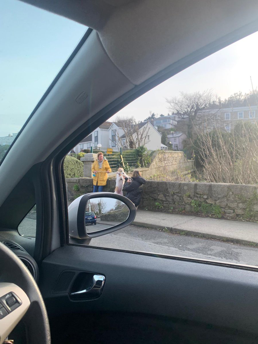 CathyBeirne's tweet photo. Not me unexpectedly running into the dog I once fostered today and her immediately remembering me 🥺🥺🥺 https://t.co/Ks927TExKN