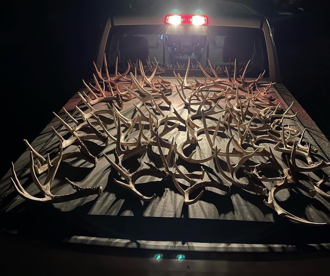 WhitetailPropTV's tweet photo. Here’s to hoping your Sunday ends with a view like this!
#repost @shotgun_dave80
#shedrally @JohnDeere @Mathews_Archery @SitkaGear @lacrosse1897 @HUNTERRAmaps @YETICoolers @RyanKirbyArt #rackhub https://t.co/DPIkfn9UCT