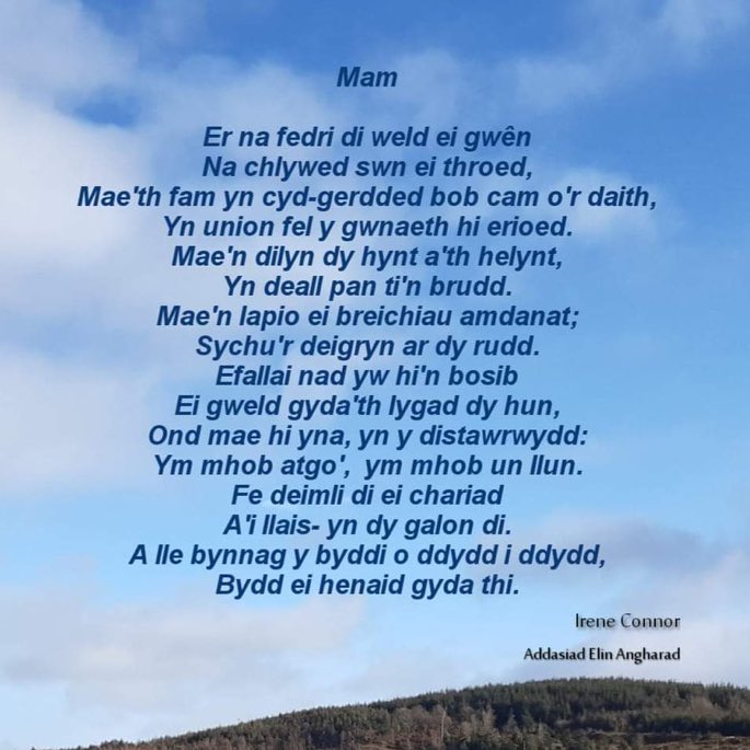 Delyth Harris (@delythh) on Twitter photo 