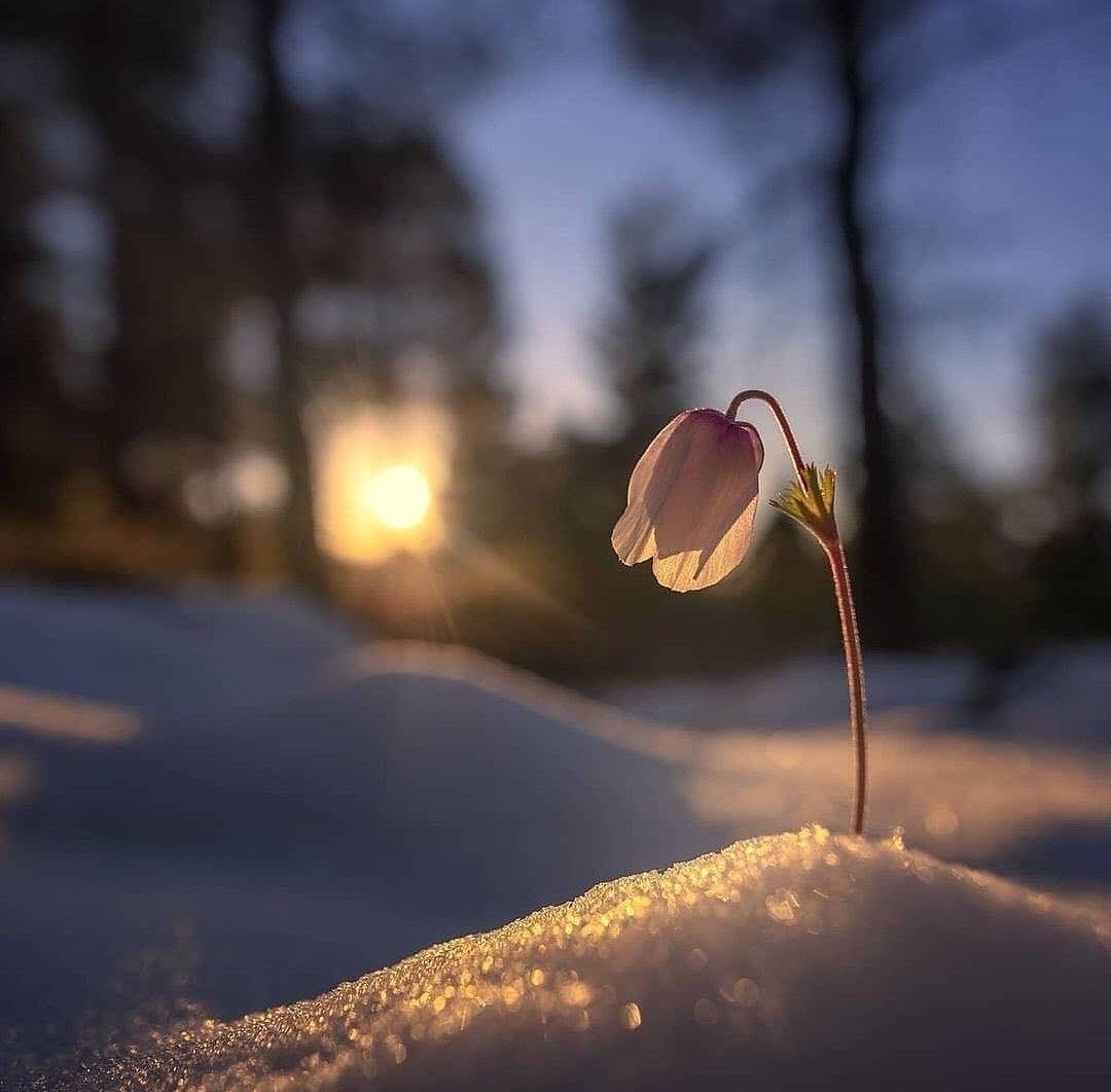 <a href="/papounay3000/">𝖕𝖆𝖕𝖔𝖚𝖓𝖆𝖞 © 🐝 ★</a> @dahut07 @AlainsurTwit <a href="/vivi7244/">Virginie🌹🇫🇷</a> <a href="/Coeur_Turquoise/">💙MiMi💛</a> <a href="/JosetteJ1/">Josette.J ღ</a> <a href="/kakitte/">Hug Catherine</a> @AMATXIGAGA <a href="/RSCLdaniel/">fandanne.rscl</a> <a href="/klingerlydie/">klinger</a> <a href="/maria_andy2/">MARIA ANDY</a> <a href="/GrainDeSable_/">GraineD'Espoir 🖤🖤🖤</a> @kzyh <a href="/minouche64/">Domi🌶</a> Merci Papounay, bonne nuit les petits 😊✨🌠🌙🙏😴