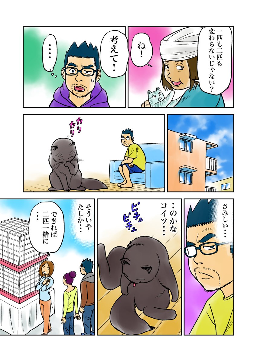irukajima's tweet photo. おこチャイ！11話（その2）
ネコの気持ち、飼い主知らず。
ネコの痛み、飼い主気づかず。
#漫画が読めるハッシュタグ 　#創作漫画 
#ねこのいる生活 　＃保護ネコ　
#猫好きさんと繋がりたい 　#絵師さんと繋がりたい https://t.co/tmnB7UDZCS