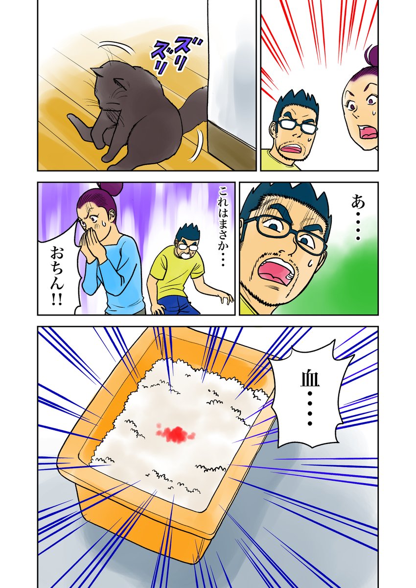 irukajima's tweet photo. おこチャイ！11話（その2）
ネコの気持ち、飼い主知らず。
ネコの痛み、飼い主気づかず。
#漫画が読めるハッシュタグ 　#創作漫画 
#ねこのいる生活 　＃保護ネコ　
#猫好きさんと繋がりたい 　#絵師さんと繋がりたい https://t.co/tmnB7UDZCS