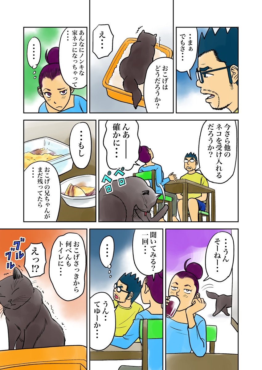 irukajima's tweet photo. おこチャイ！11話（その2）
ネコの気持ち、飼い主知らず。
ネコの痛み、飼い主気づかず。
#漫画が読めるハッシュタグ 　#創作漫画 
#ねこのいる生活 　＃保護ネコ　
#猫好きさんと繋がりたい 　#絵師さんと繋がりたい https://t.co/tmnB7UDZCS