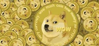 derekantal's tweet photo. Bought my first Dogecoin today, after much difficulty. Still learning how to use Twitter . https://t.co/AAELzDtPSf