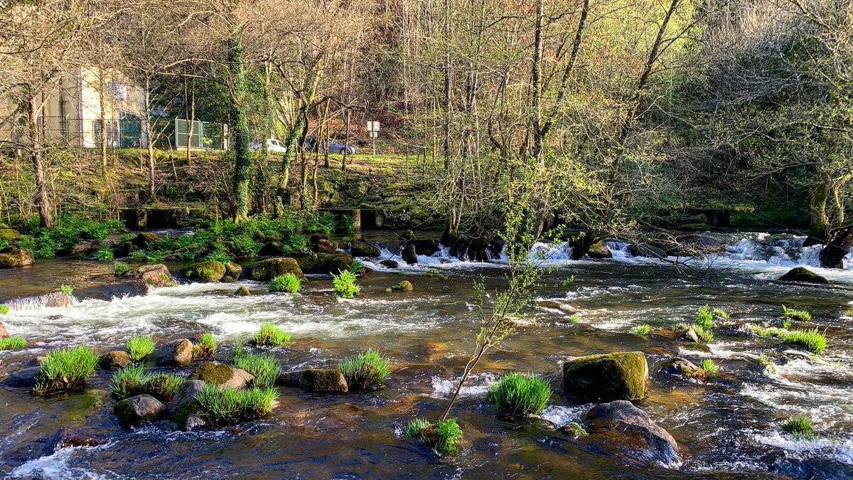 PattyPortonovo's tweet photo. Fervenza de Segade 🏞😍 #CaldasdeReis #Riasbaixas #Domingo #Fervenza #Segade #Pontevedra #Galicia https://t.co/J8gML9HWrw