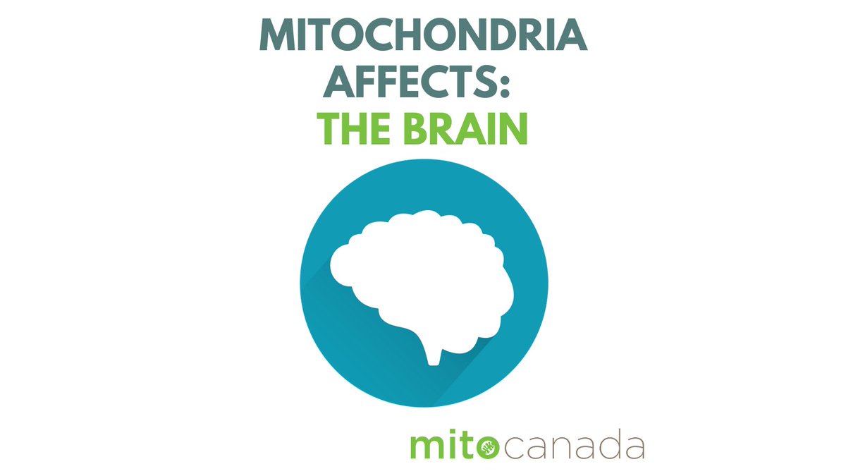 MitoCanada's tweet photo. #Mitodysfunction can affect the brain. Symptoms may include developmental delays, dementia, stroke, migraines, seizures and more.
Recognizing symptoms and sharing this info with your health care practitioner can help you get a timely, accurate #diagnosis and appropriate care. 💚 https://t.co/rDcVKY8KmE