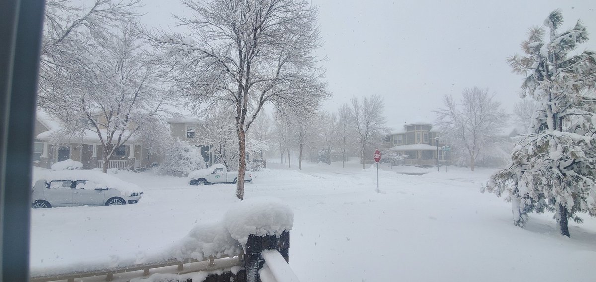 The Budget Engineer tweet media