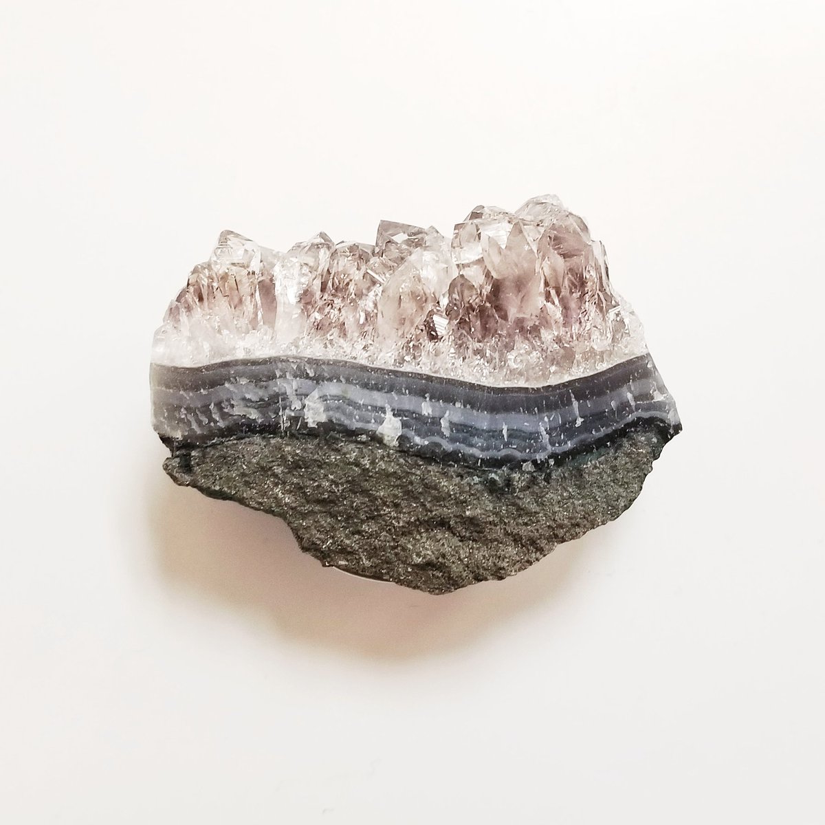 Tellus Science Museum tweet media