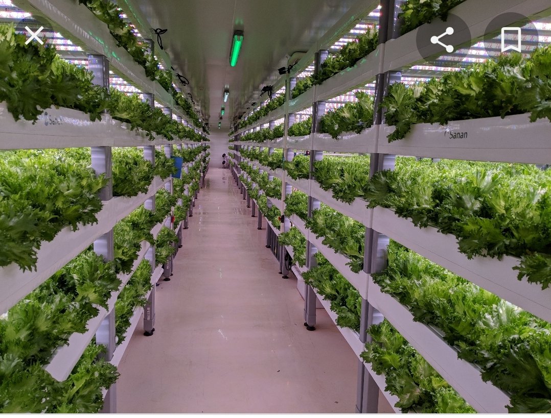 DRLittlejohn137's tweet photo. @MGT_Modesty Indoor vertical farming, less space, less water no chemicals, no foul smell and no run off. Add living quarters, tech labs, stores etc. and then beautify the rest all around like a park. #EcoSov https://t.co/dGara7fkqr