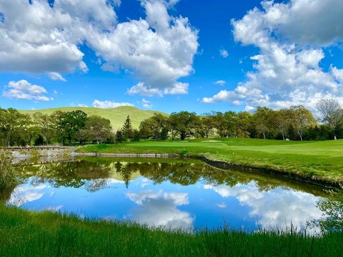 Callippe Preserve tweet media