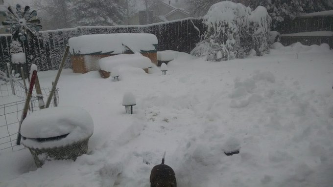 A foot of snow and still coming down! https://t.co/Azar3C6OPH