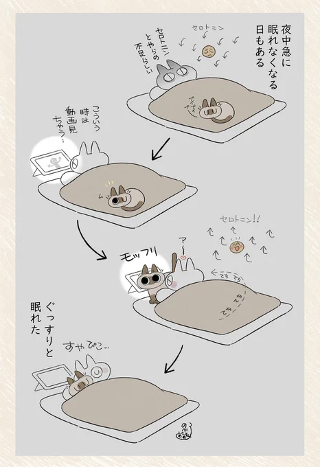 しあわせ成分 #シャム猫あずきさんは世界の中心 