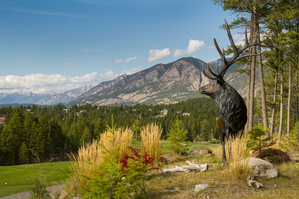 Copper Point Golf tweet media