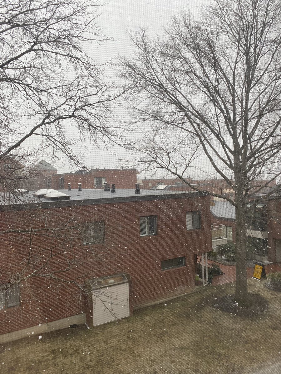 strollaris's tweet photo. Massachusetts weather is the trickiest thing I know...
Thursday-70F
Friday-60F
Saturday-48F
Sunday (today)-30F
Monday (tomorrow)-will be 28 
Wicked awesome! https://t.co/cdH5HA57kc
