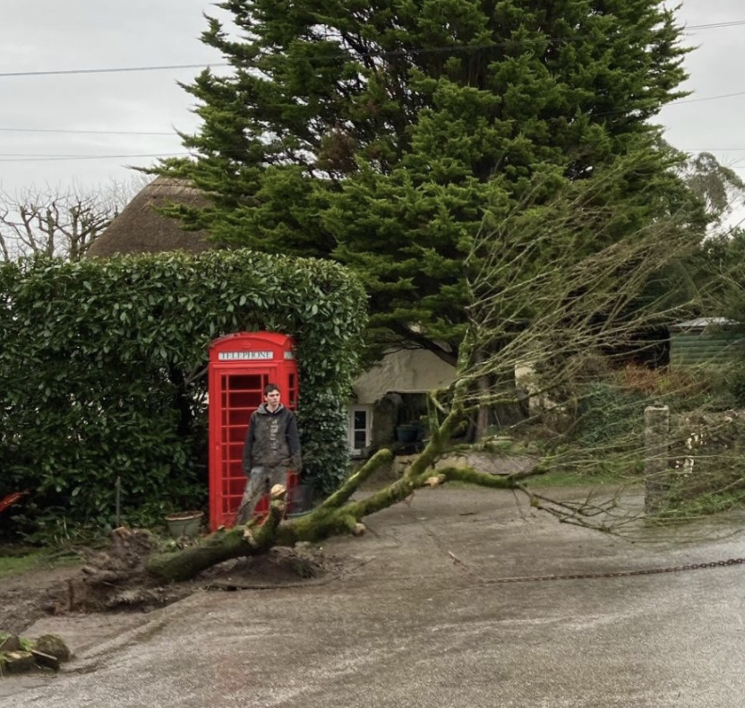 TreesWinnipeg's tweet photo. #DYK: More than 60 million elm trees have been lost in the UK since the 1970โs to Dutch elm disease. Here's the story of losing the "Bosinver landmark tree" in a small community. ๐ณ
https://t.co/gb29Qz1BHs
#elmtrees #stopDED #saveourelms #YOTET https://t.co/LdmKJzB9PH