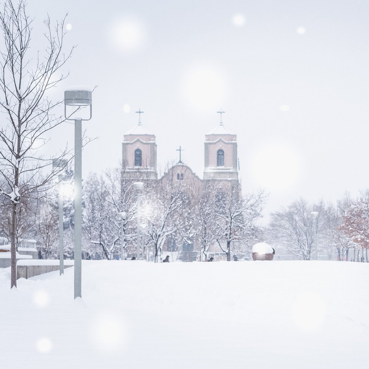 msudenver's tweet photo. Weather Alert! The @AurariaCampus is closed Monday, March 15, 2021. ❄️ All online, remote classes and telework are canceled. Stay safe, Roadrunners! https://t.co/hw5jWa0V9R https://t.co/qO1MbxJdaX