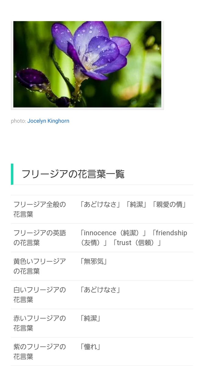 水紀 ツイフィ読んでネ おはようございます テリーが持っている花ですが フリージアで間違いないかと 花言葉は 憧れ テリーといったら 憧れの存在 花言葉が 憧れ といったら のノリで探したら一発で見つかりました Kofg Kof乙女 Kofg 水紀 ツイフィ読んでネ おはようございます テリーが持っている花ですが フリージアで間違いないかと 花言葉は 憧れ テリーといったら 憧れの存在 花言葉が 憧れ といったら のノリで探したら一発で見つかりました Kofg Kof乙女 Kofg