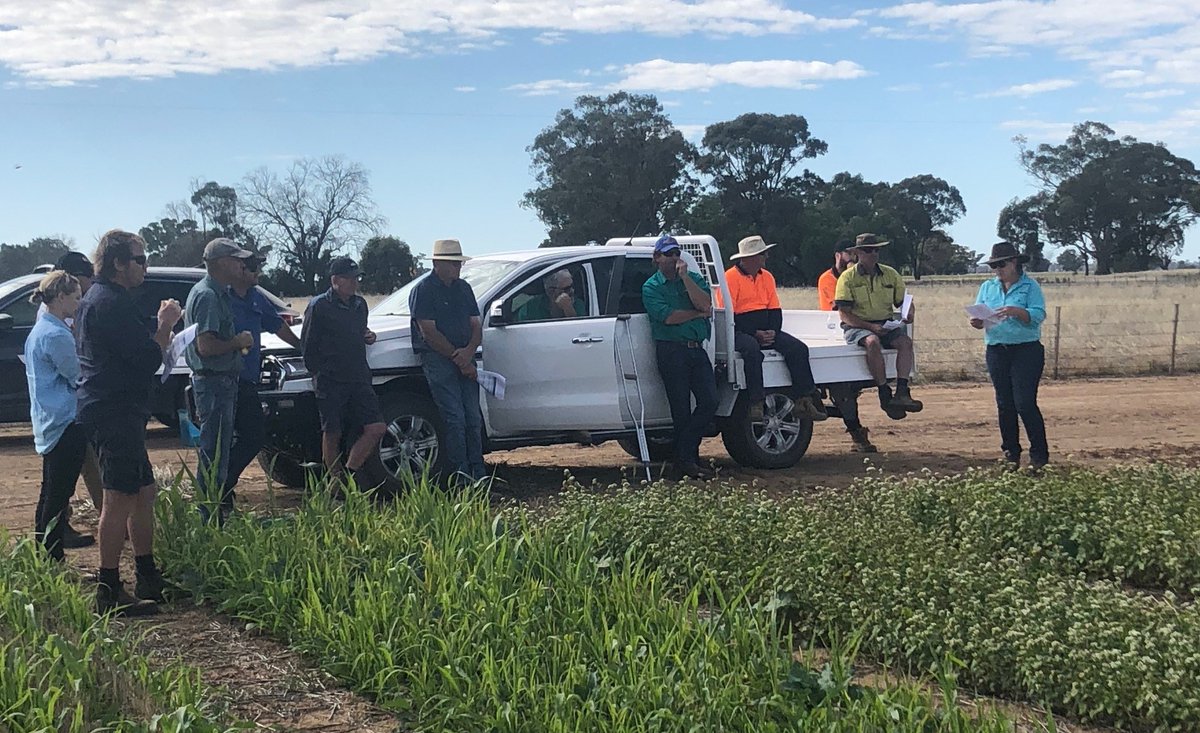Riverine Plains (@riverineplains) on Twitter photo The #CoolSoilInitiative Grower Summit is on tmrw (16/3/21) at Howlong. It'll be a great opp to meet with orgs supporting CSI locally + hear latest results on GHG & soil C. There are also places available for the 2021 program, w interested growers welcome. riverineplains.org.au/event/cool-soi… The #CoolSoilInitiative Grower Summit is on tmrw (16/3/21) at Howlong. It'll be a great opp to meet with orgs supporting CSI locally + hear latest results on GHG & soil C. There are also places available for the 2021 program, w interested growers welcome. riverineplains.org.au/event/cool-soi…
