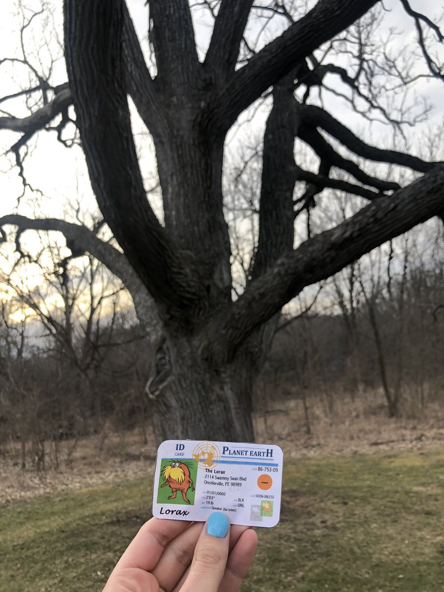 Jaclyn Dutkiewicz (@jd508477apes) on Twitter photo This forest pictured is an example of an old-growth forest because the trees showed are over 100 years old based on their characteristics. This means that this forest has never been logged before and this shows good management! <a href="/franklinlorax/">APES Project Lorax</a> #apesland This forest pictured is an example of an old-growth forest because the trees showed are over 100 years old based on their characteristics. This means that this forest has never been logged before and this shows good management! <a href="/franklinlorax/">APES Project Lorax</a> #apesland