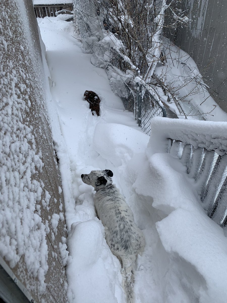 J.P. Eagleton tweet media