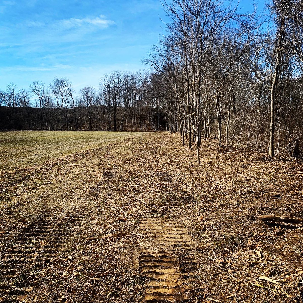 CraigRoth16's tweet photo. Before/ After! https://t.co/xWiOYKqaf2