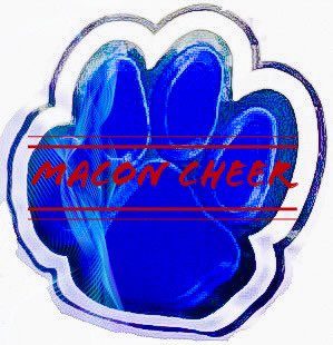 MaconCountyCheer tweet media