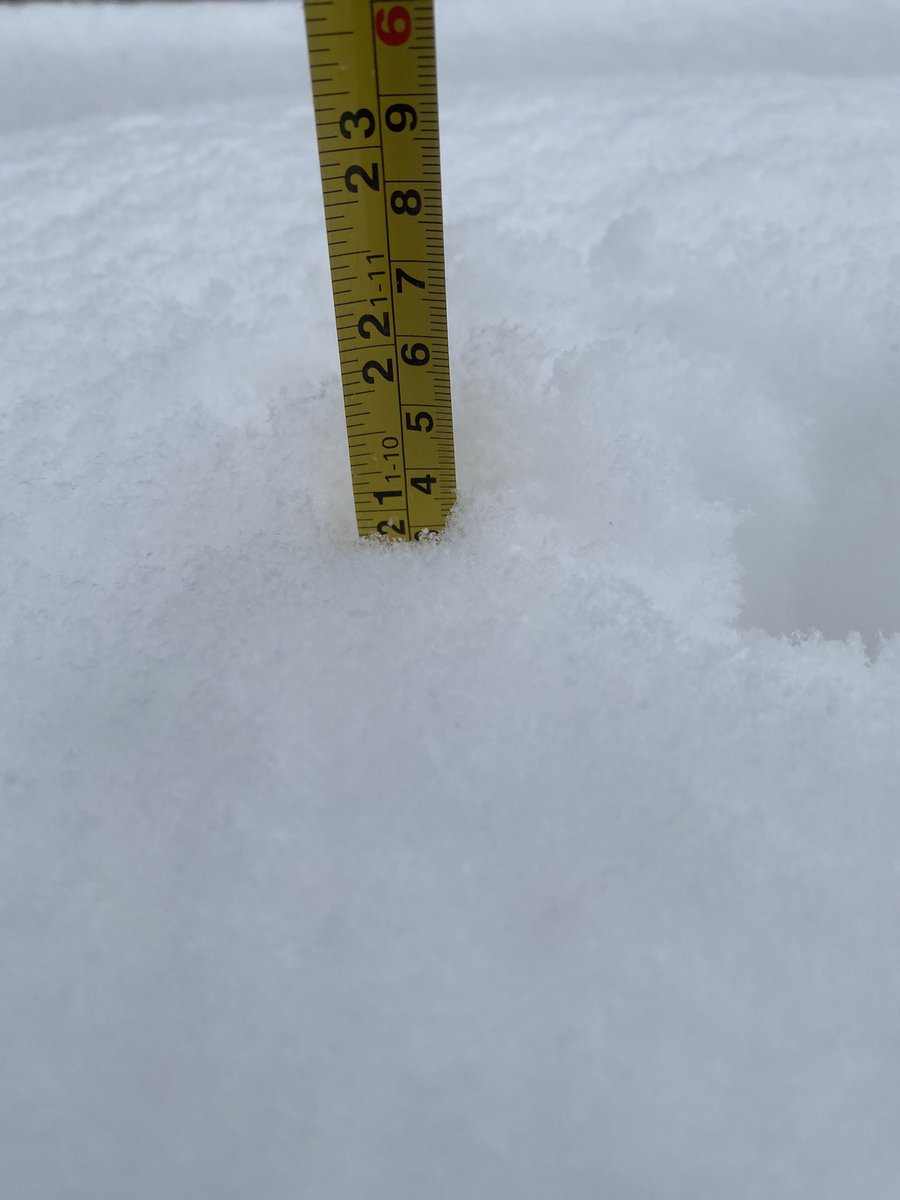 Nobody, Ph. D. tweet media