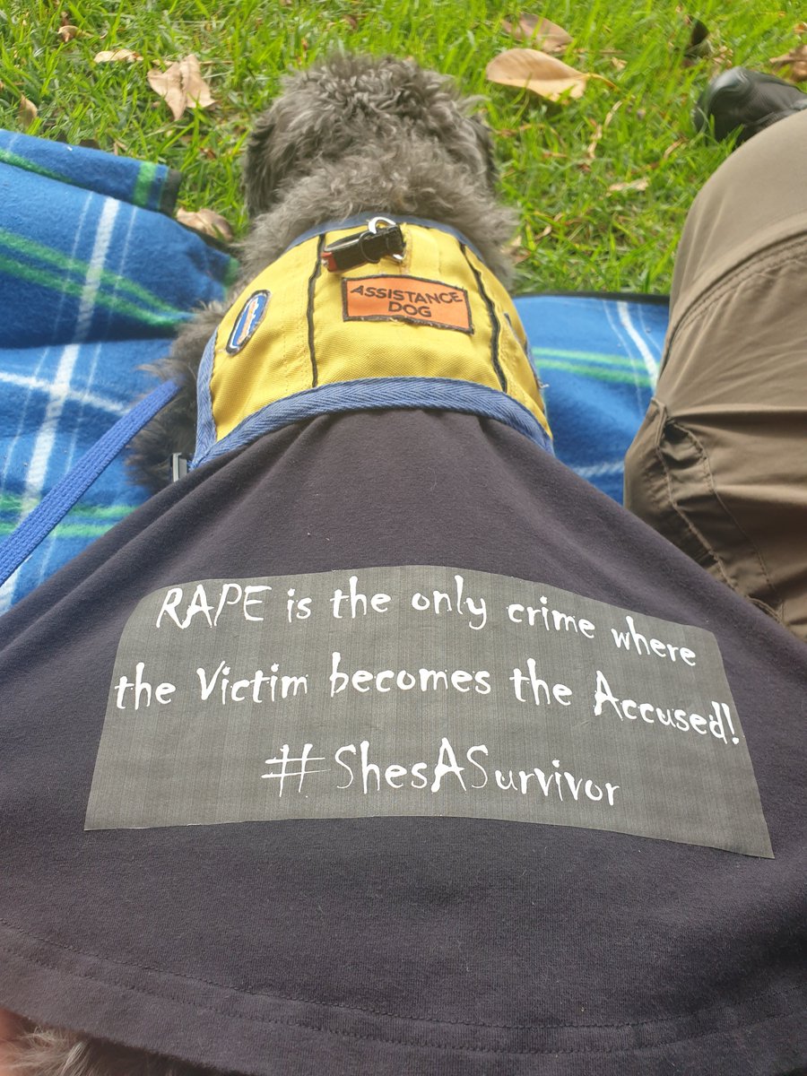 SewerRatRey's tweet photo. #IMarch beside my human - supporting her and her fellow rape survivors voices to be heard. #March4Justice https://t.co/msf0BQsAs7