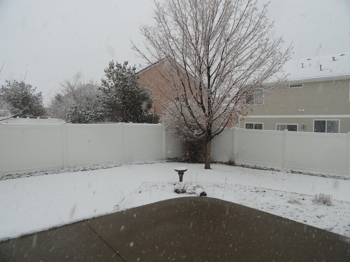 mylemonysoul's tweet photo. How it started vs. How It's Going
#Denver #Snowpocalypse2021 #Snowmageddon2021 #Snow #blizzard2021 https://t.co/mgmvc1lQZ7