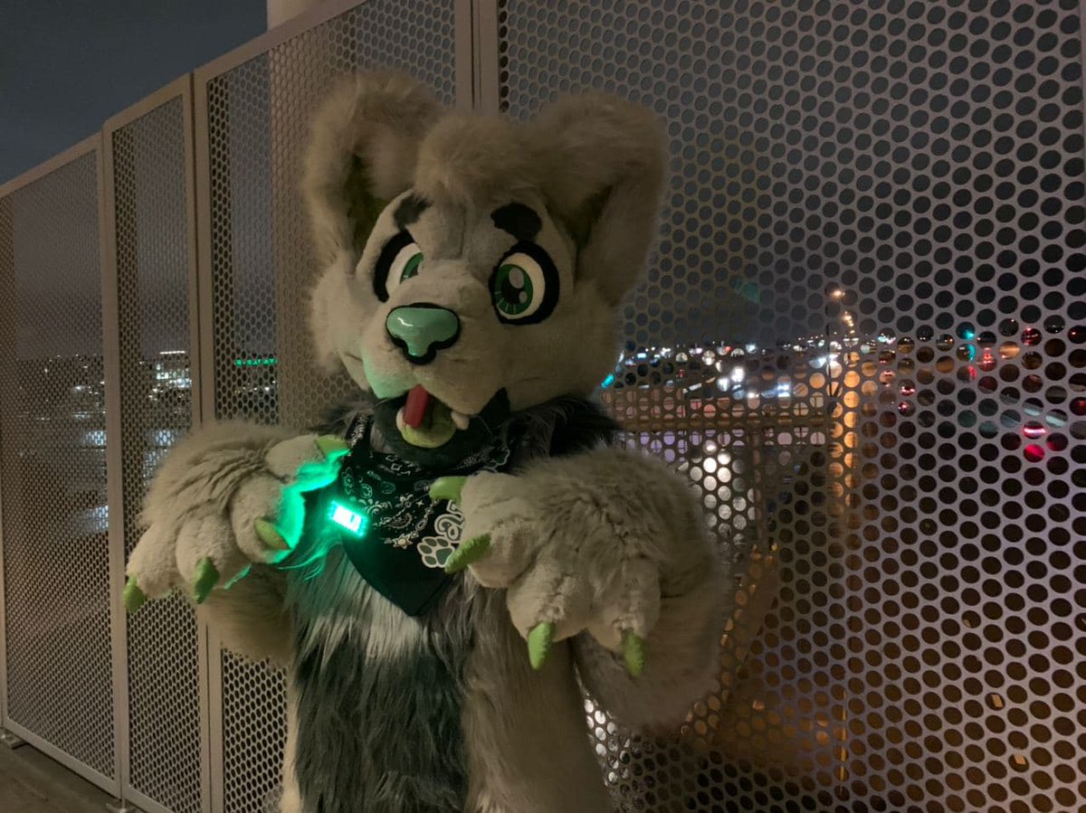 Heyo everyone, I know I haven't posted in a while! This past year has been difficult for a lot of us, but I wanted to say keep your heads up and wag those tails! the end of this storm is coming! and I can't wait to see you all on the other, brighter side!💚

#Furry #fursuit