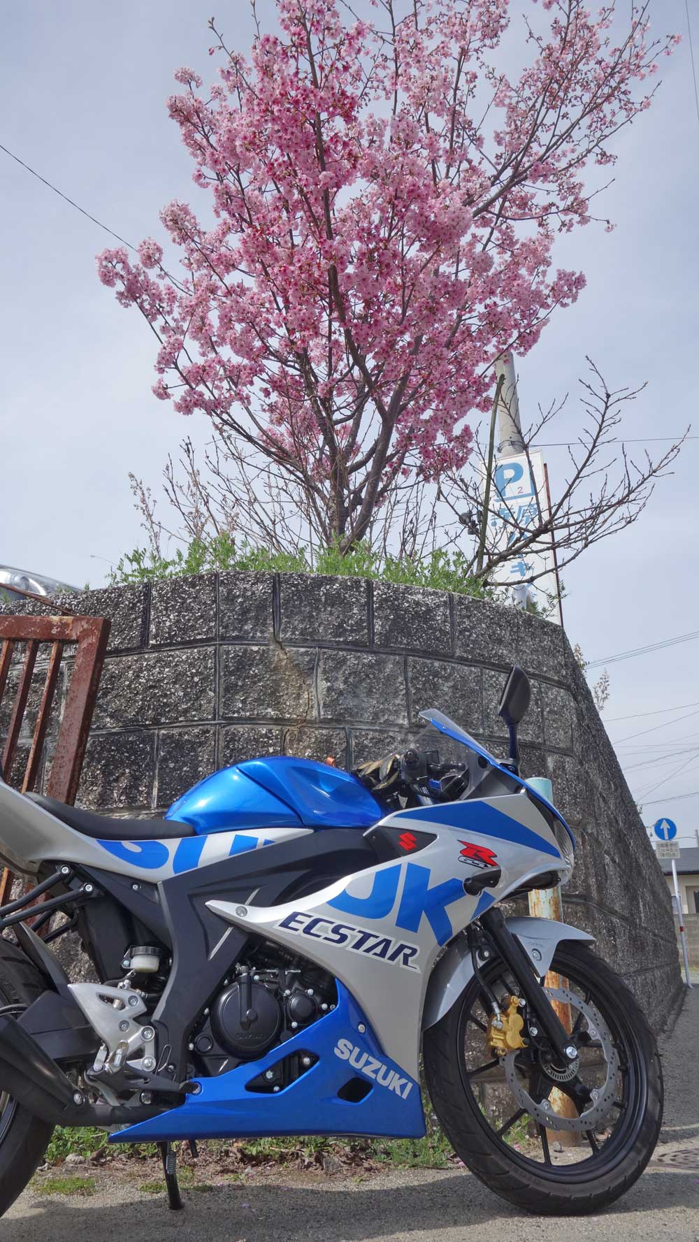 Peaceride Net ピースライド 強めのピンクの花が咲いています 桜じゃないです ピンクの花とピンクナンバーのバイク Gsxr125 熊本市バイク ピンクの花は何 T Co Upxy70jhfc Twitter