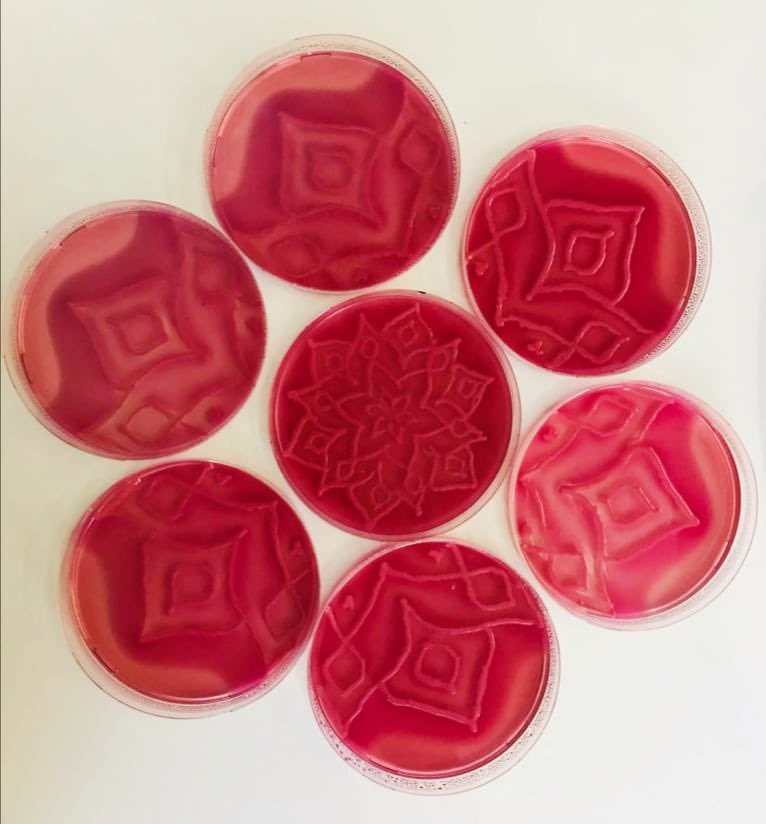 First time competing in an agar art contest organized by 🧫<a href="/MicrobioBel/">Belgian Society for Microbiology (BSM)</a> 
#proud #AgarArt #Microbiology