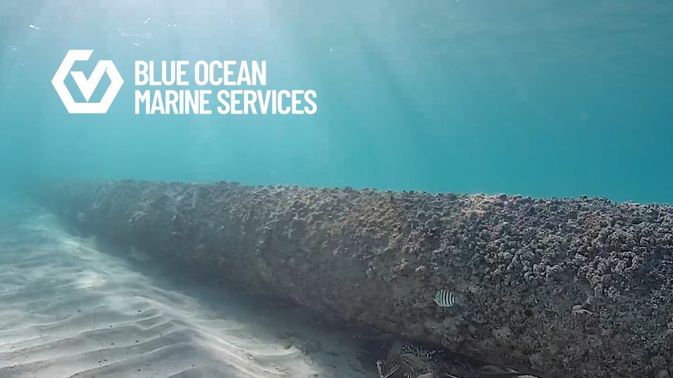 Blue Ocean Monitoring tweet media