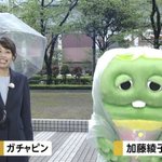 あれ？加藤綾子アナウンサーとガチャピンって入れ替わったの？