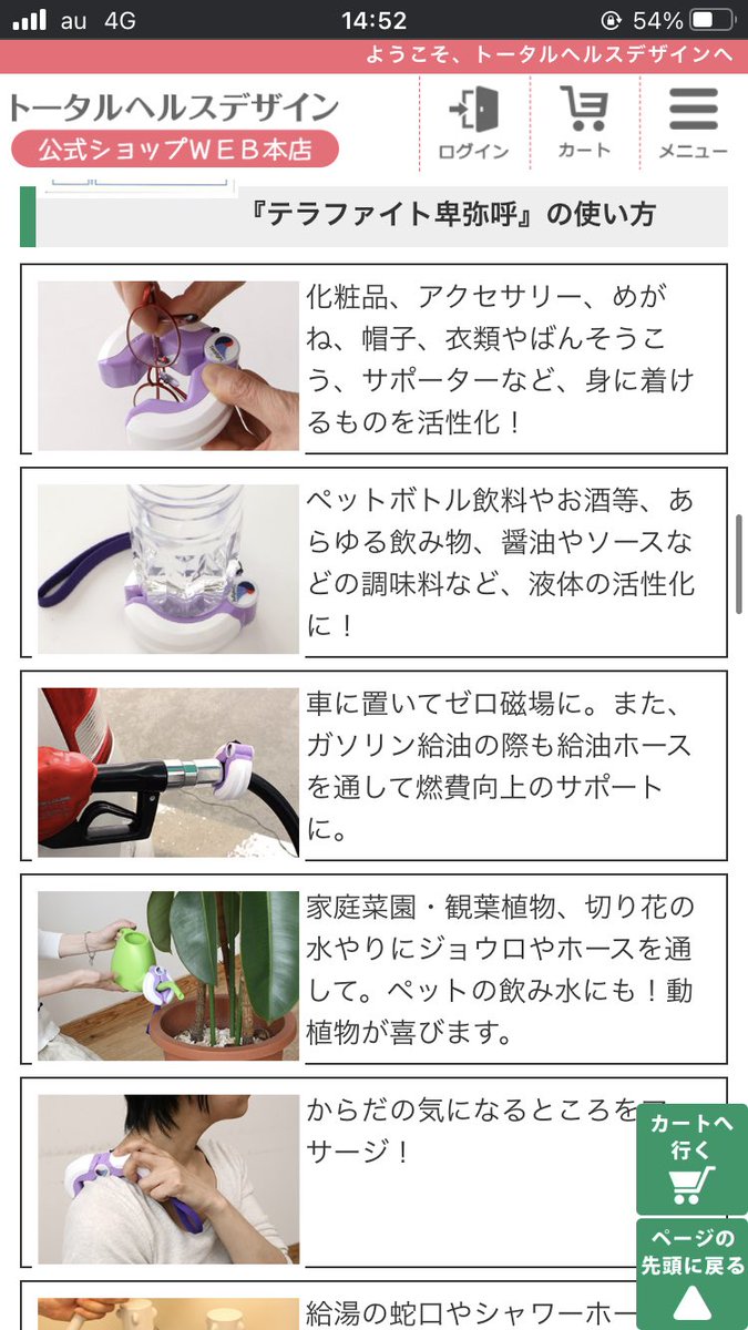 テラファイト卑弥呼はこうらしいです。見た目もだせえ 