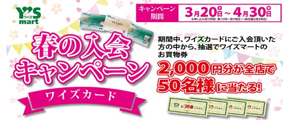 ワイズカード ワイズカード