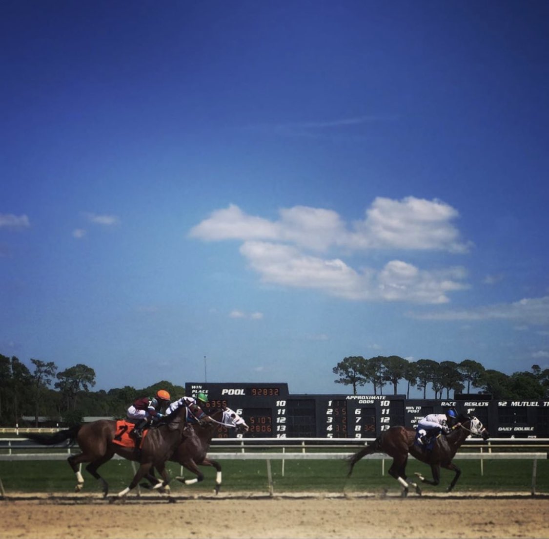 Fun day at the track! <a href="/TampaBayDownsFL/">Tampa Bay Downs Official Account</a> #LoveFL