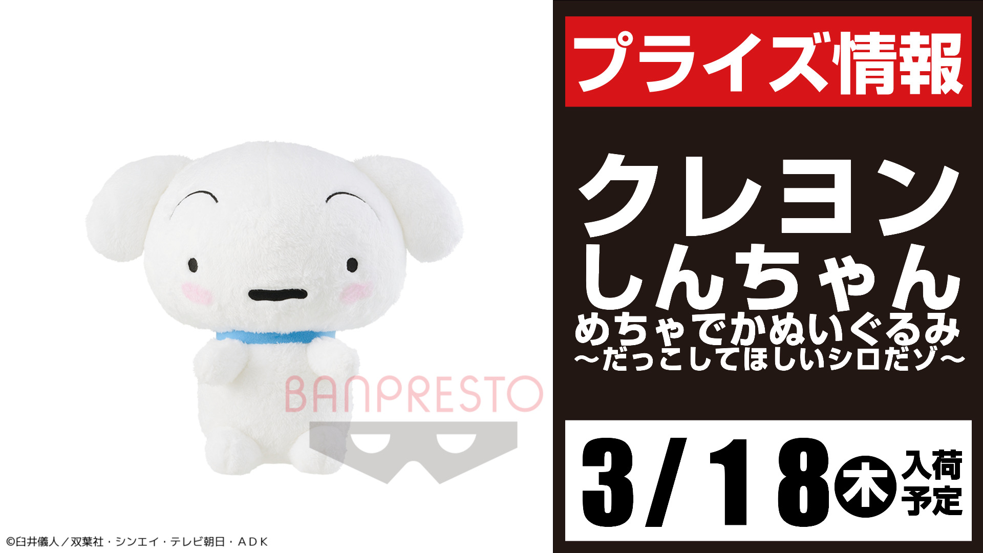 セガマーケットスクエアささしま 今週の新入荷予定景品 クレヨンしんちゃん より シロのめちゃでかぬいぐるみが登場 だっこのおねだりポーズがかわいい ぜひお迎えくださいね クレヨンしんちゃん セガマーケットスクエアささしま