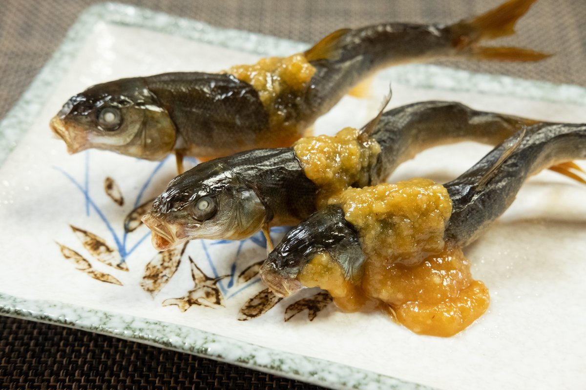 魚滋会 魚滋会
