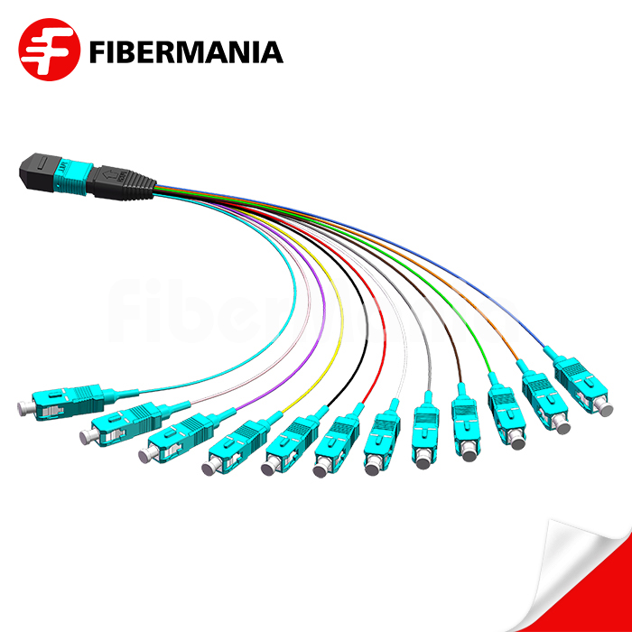 iFiberMania's tweet photo. At Shenzhen FiberMania Technology Co., Ltd., efficiency &amp; perfection in service help customer save time &amp; increase value. #mpotolcfanout #customcableassemblies #stfiberopticcable https://t.co/3VaZQJKpYT