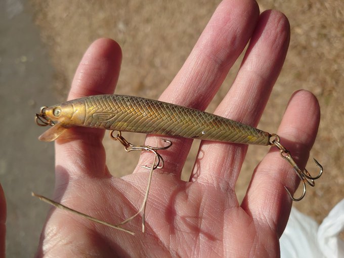 ルアーのtwitterイラスト検索結果