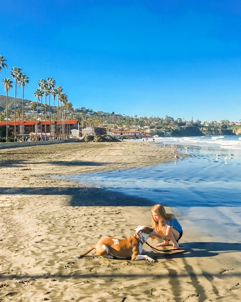 lisaduky's tweet photo. San Diego in March: Weather, Events, Things to Do, &amp; Insider Tips https://t.co/N0Wntpior4 #vacation https://t.co/GmEVCkK9PV
