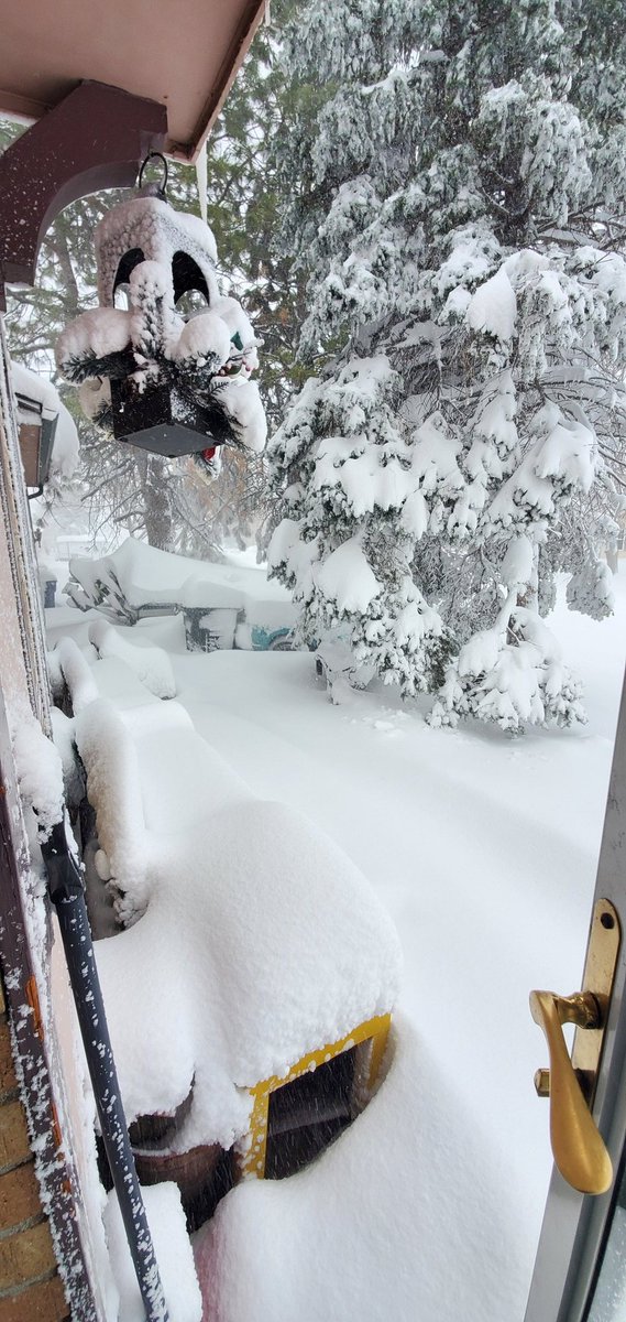 Yeah...not shoveling #Snowpocalypse2021