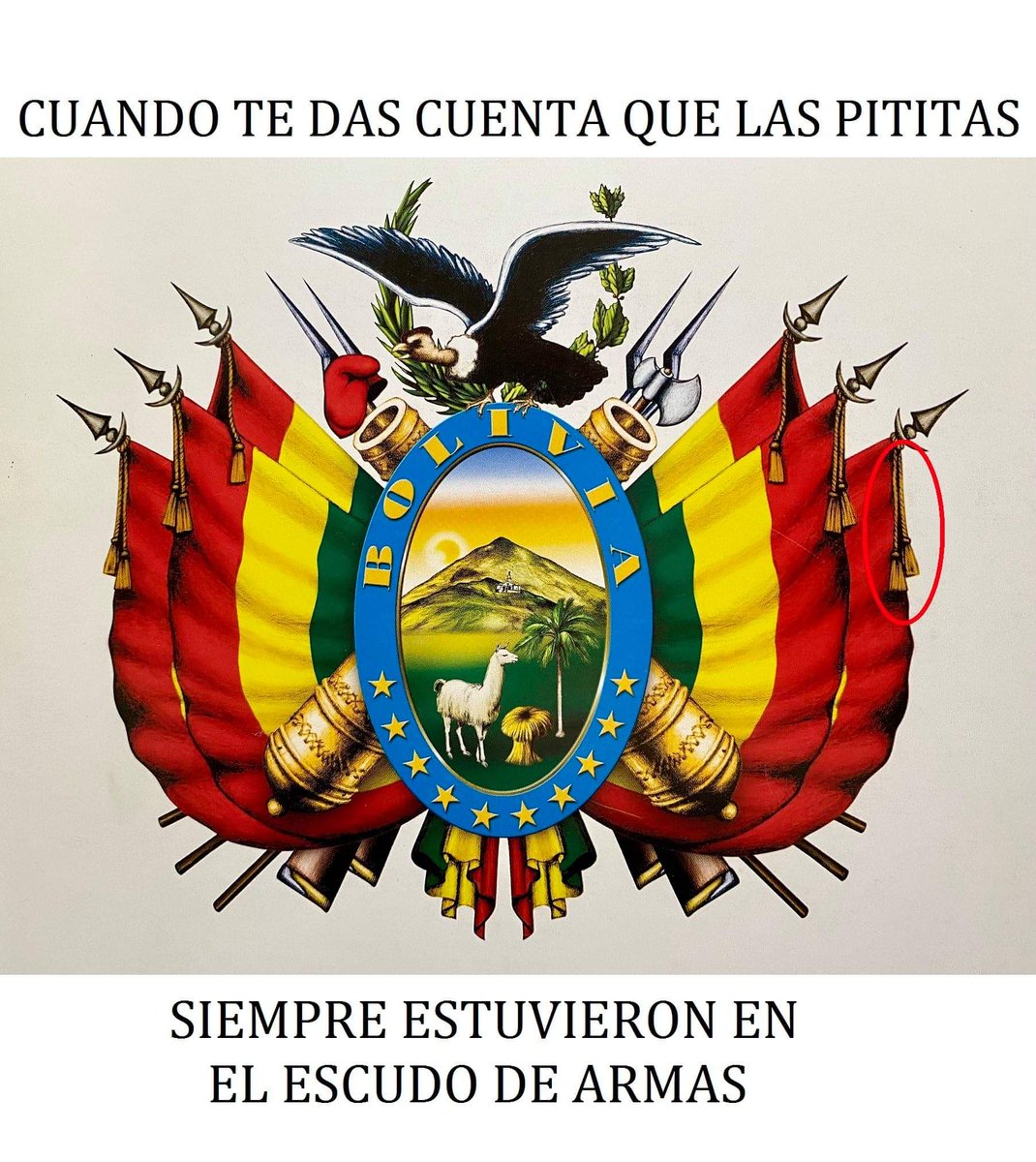 LuviaRocio's tweet photo. BOLIVIA 🇧🇴 NO ESTA SOLA
#NADIESECANSANADIESERINDE #NOFUEGOLPE #EVORENUNCIO POR #FRAUDEELECTORALENBOLIVIA Y HUYO COMO RATA A MEXICO #PITITATWITTERA #PITITA https://t.co/Bbv64r5zZy