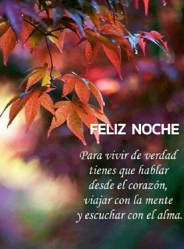 ❀ 𝐀𝐫𝐞𝐥𝐲 ❀ on Twitter: ❀ 𝐀𝐫𝐞𝐥𝐲 ❀ on Twitter: