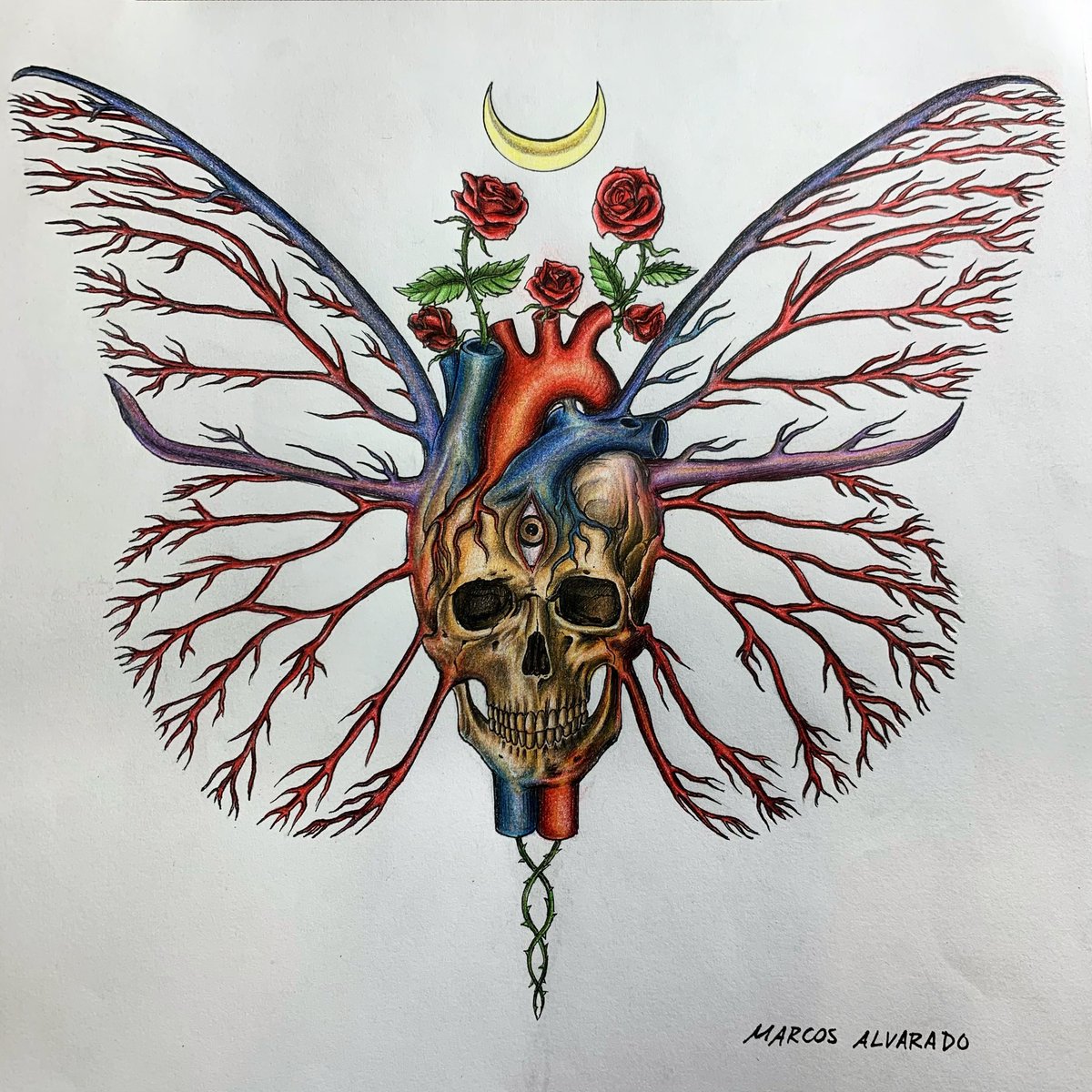 marcosalvarado_'s tweet photo. Metamorphosis https://t.co/tpkhMAW4v3