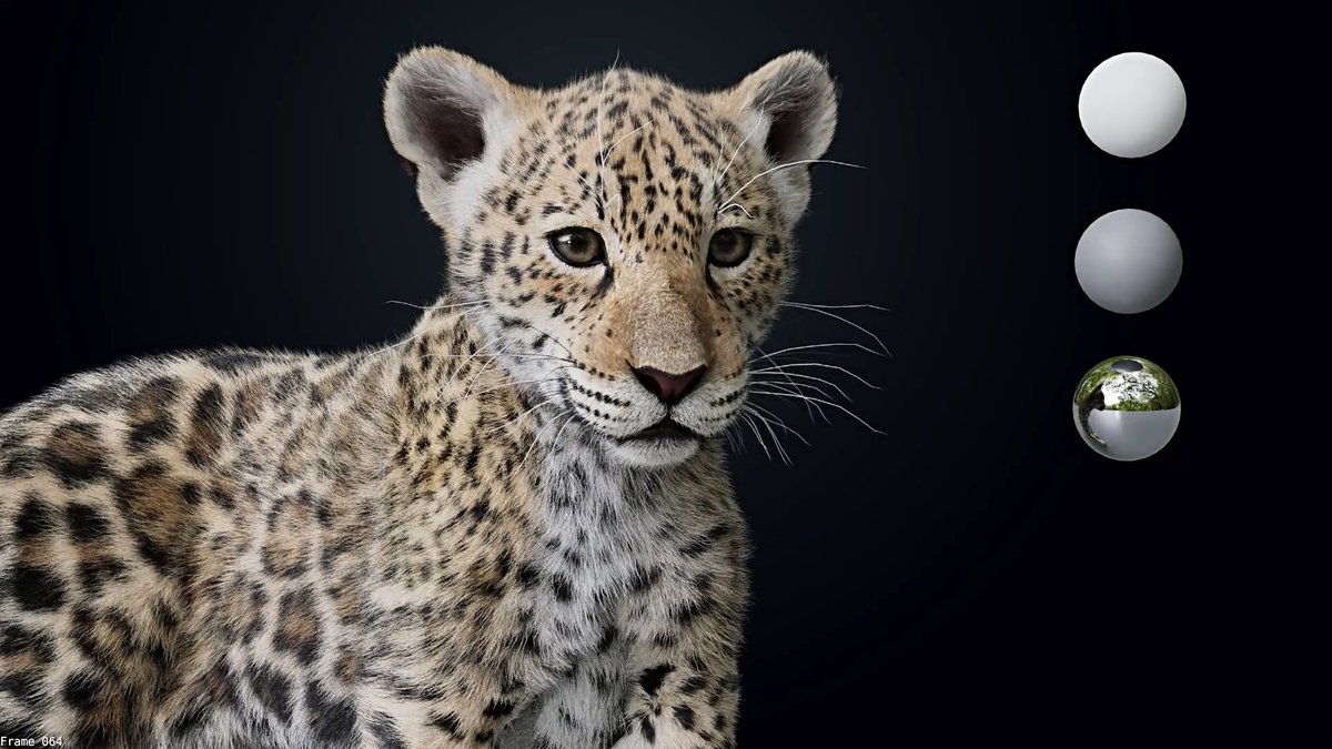 Learn how to create a jaguar
youtube.com/watch?v=bjOWb3…

 #3danimals #animalcharacter #3dmodeling  #Bledner #3drender #3dartist #blendermodel #blender3d #3dartis #3dmodel  #renderings #renderingdesign #blenderindonesia #blendersculpt #3danimal #3dartisty #3dtexturing #3ddesigns